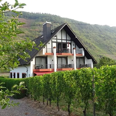 بيت للعطل Haus Weingarten Modern Retreat *